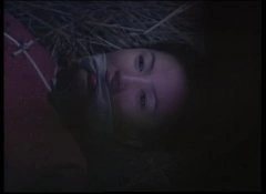 陈秀雯