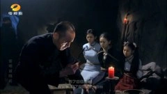 王维维,陈菲