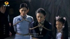 王维维,陈菲
