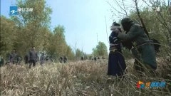 海清