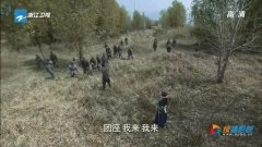 海清