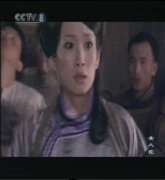 秦海璐*
