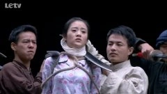 杨了
