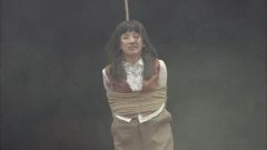 董晴
