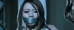 洪红*