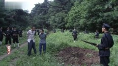 王雅捷