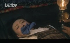霍泥芳