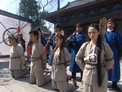 董璇,李小璐