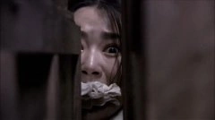 戚珍琪