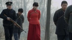 刘涛