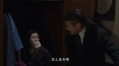 杨璨地