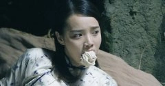 丁香紫
