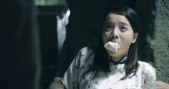 丁香紫