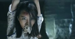 丁香紫