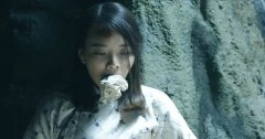 丁香紫