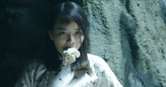 丁香紫
