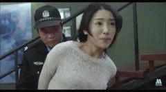 杨卿