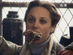远去的飞鹰