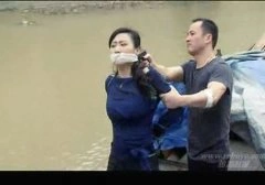 杨子奕