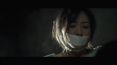 韩雪