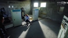 高露