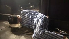 秋瓷炫