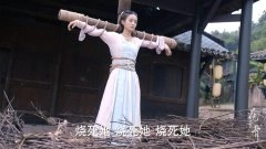 赵丽颖