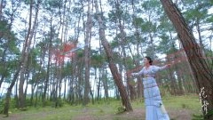 赵丽颖