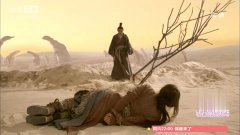 赵丽颖