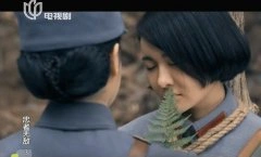 郑逸桐