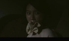 赵子惠