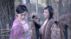 胡睿*