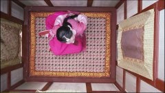 赵韩樱子