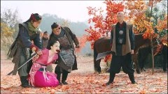赵韩樱子