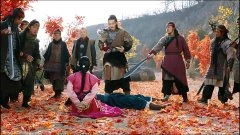 赵韩樱子