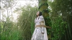 贾青