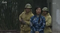 王茜华*