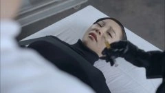朱琳*