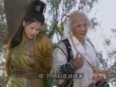 高圆圆