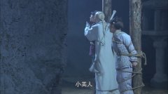 王婵婵