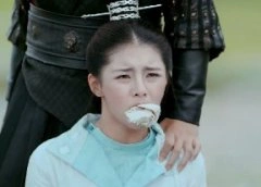 凤归四时歌