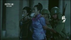 王鸥,潘晓莉