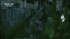王鸥,潘晓莉