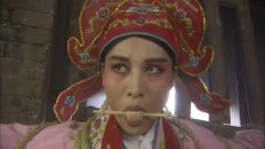 郑爽