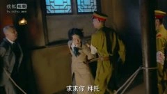 马伊琍