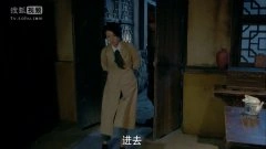 马伊琍