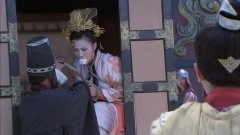 白柳汐