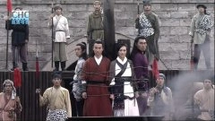 王鸥