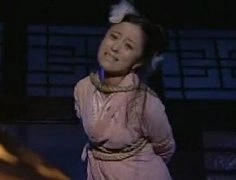 飞天潜龙