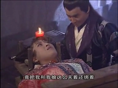 赵柯*